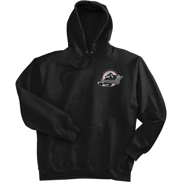 Allegheny Badgers Ultimate Cotton - Pullover Hooded Sweatshirt