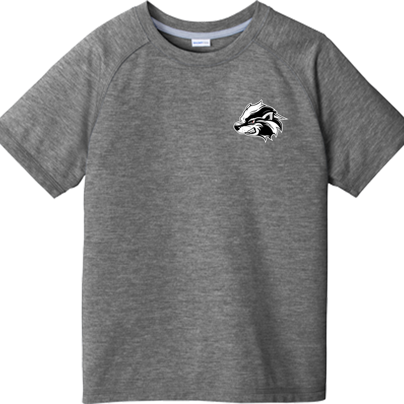 Allegheny Badgers Youth PosiCharge  Tri-Blend Wicking Raglan Tee